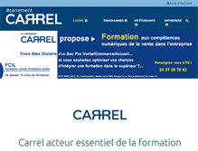Tablet Screenshot of carrel.fr